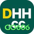 dhh BR Pro